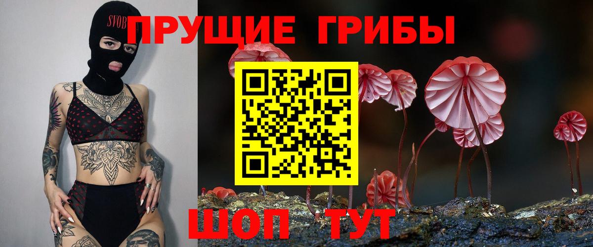 Галлюциногенные грибы GOLDEN TEACHER Курганинск